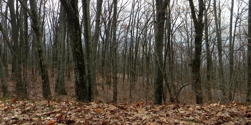 DennyYates556's profile banner image