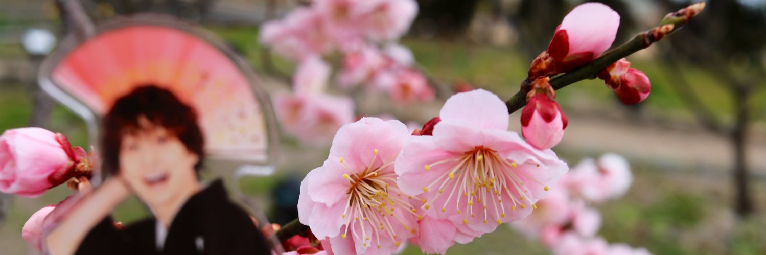 abeko1122's profile banner image