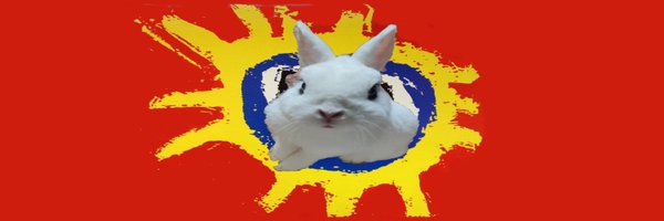 trancy808 Profile Banner