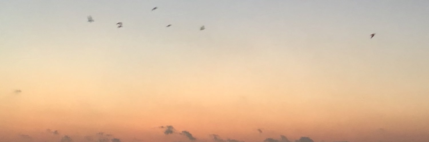 busrayilmazd's profile banner image
