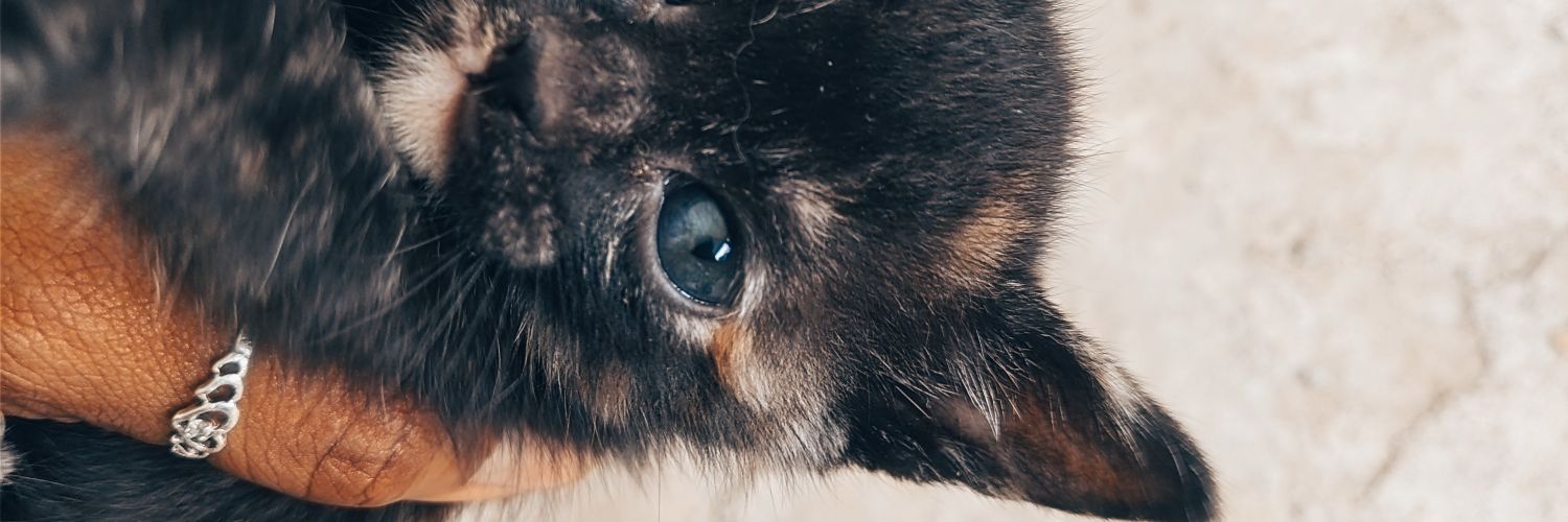 _davilad_'s profile banner image