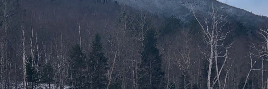 KateyRodzen's profile banner image