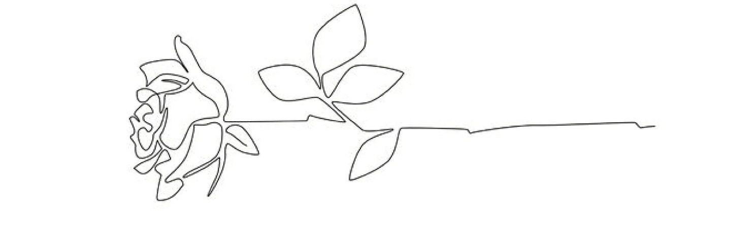 _roseman's profile banner image