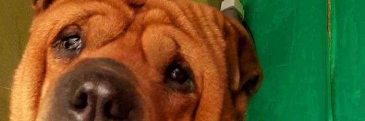 ManuDanderfer's profile banner image