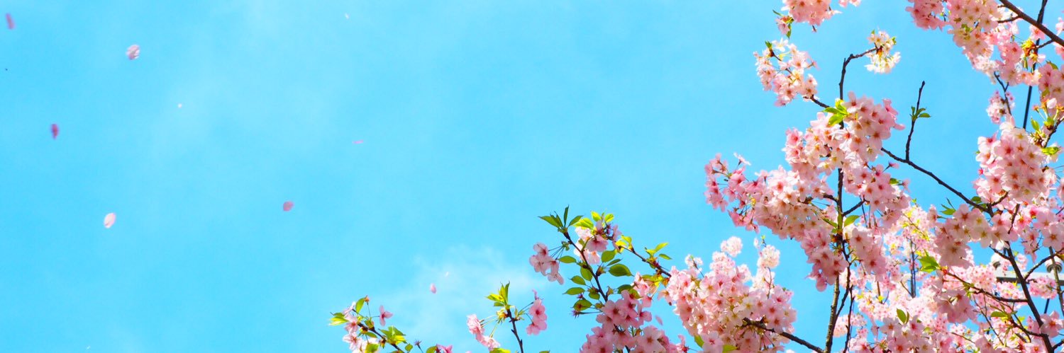 aono0430's profile banner image
