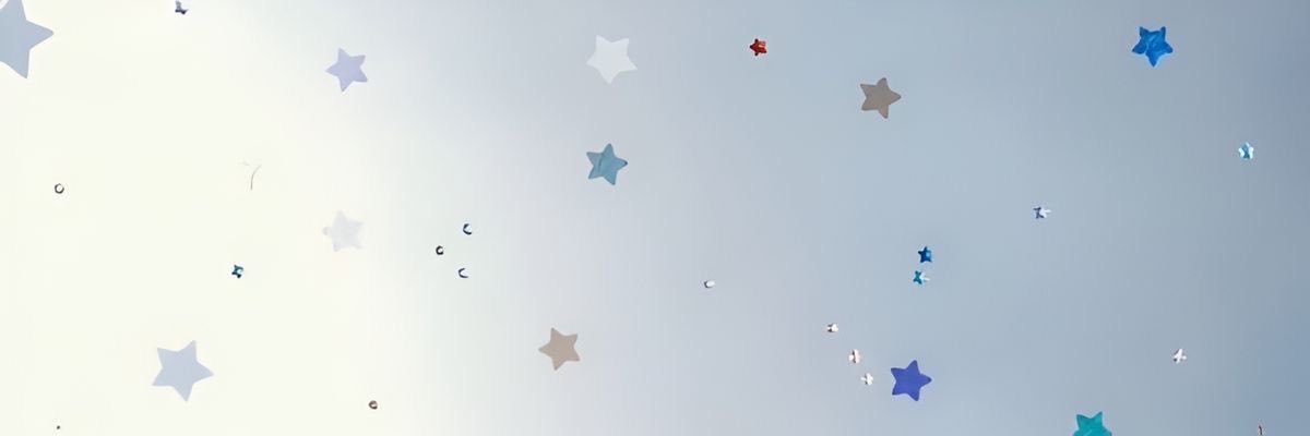 aoiropedal's profile banner image