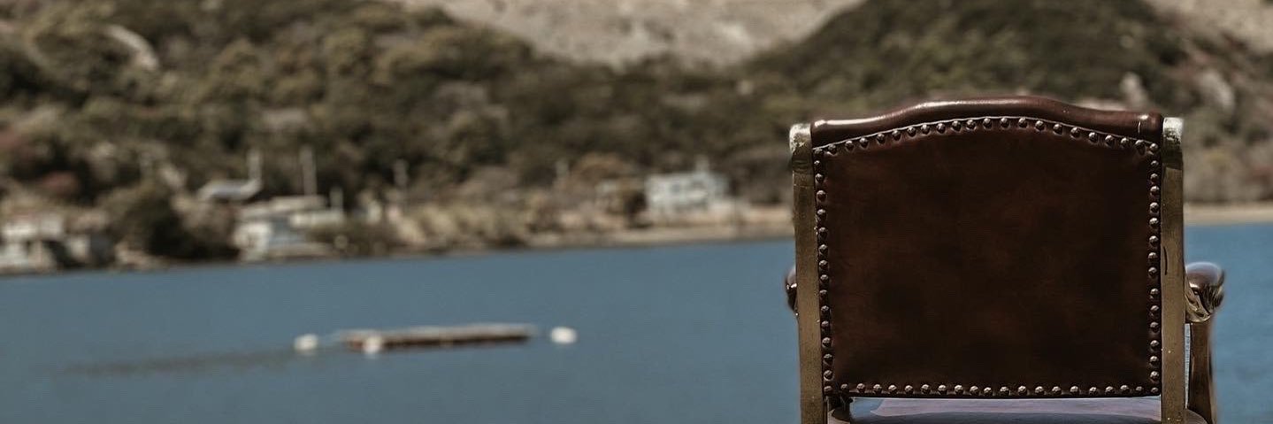 REVi banner