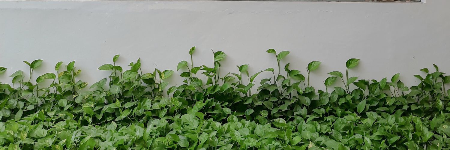 ddiapj's profile banner image