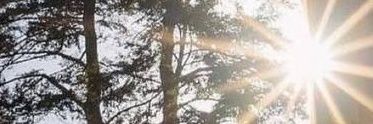 alwah1's profile banner image