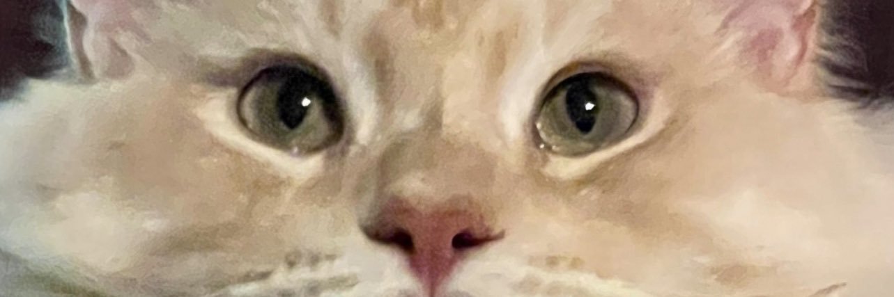Nickolx's profile banner image