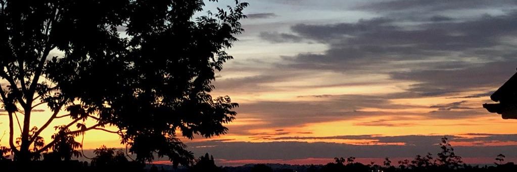 anniewilkey's profile banner image