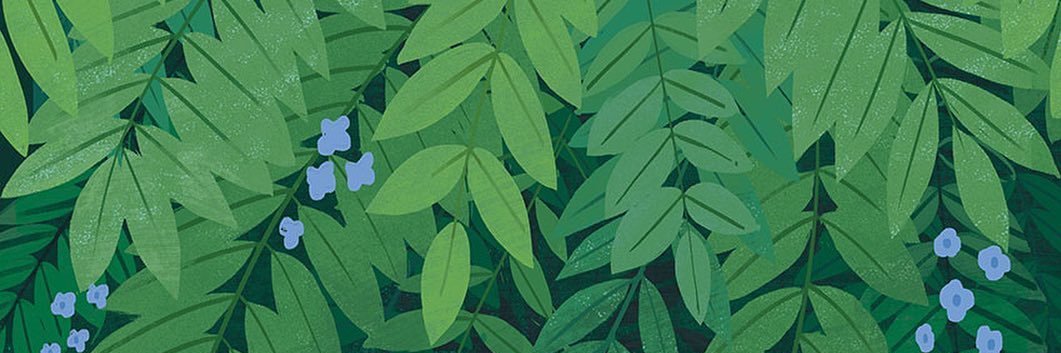 sennapetsu's profile banner image