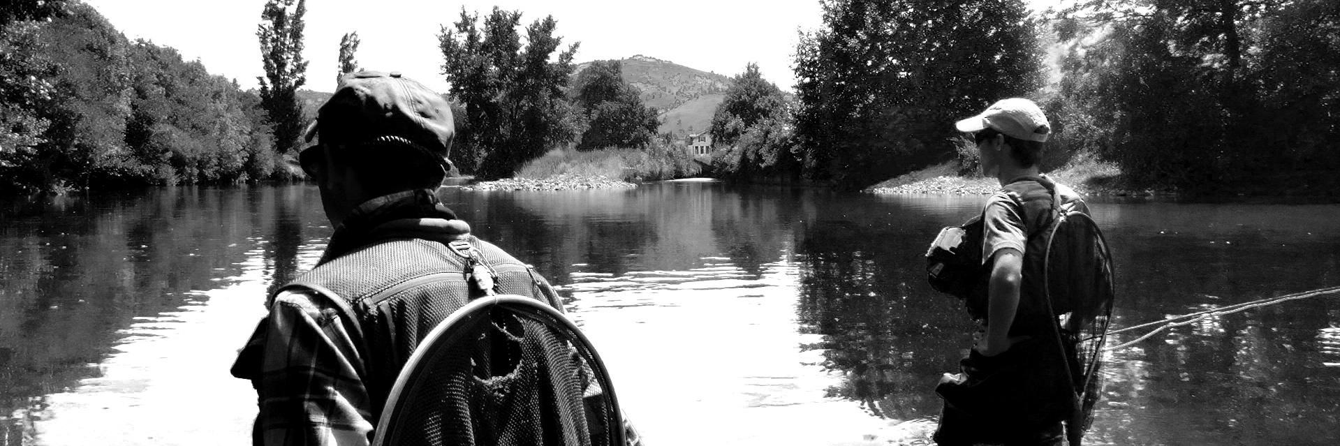 bearnishfly's profile banner image