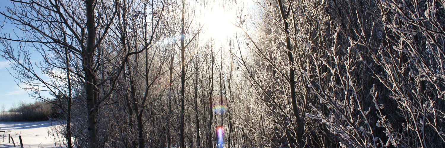 andreadesroches's profile banner image