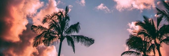 lulirulegui's profile banner image