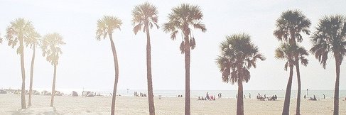 grouchography's profile banner image