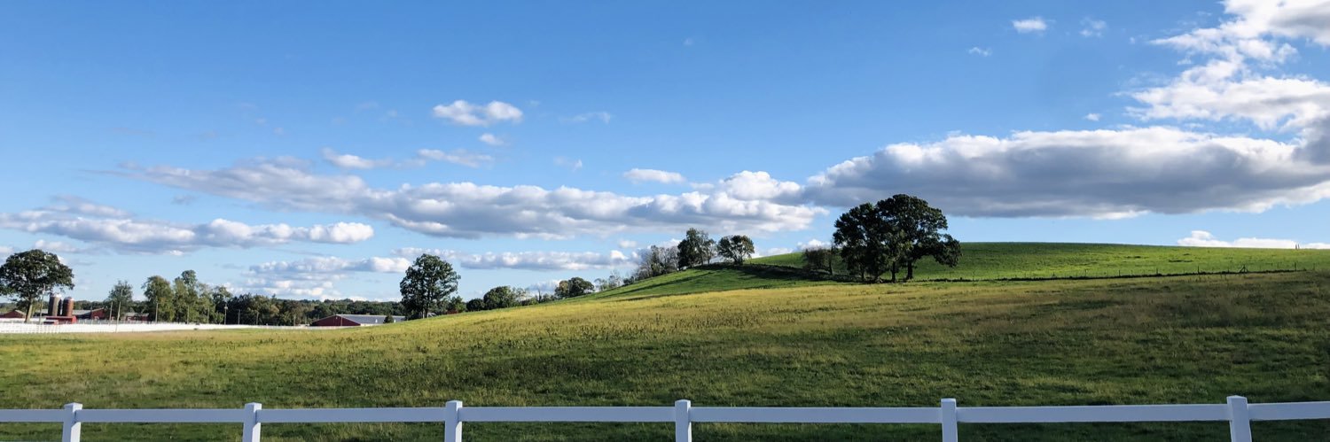 Savannah Hoyt banner