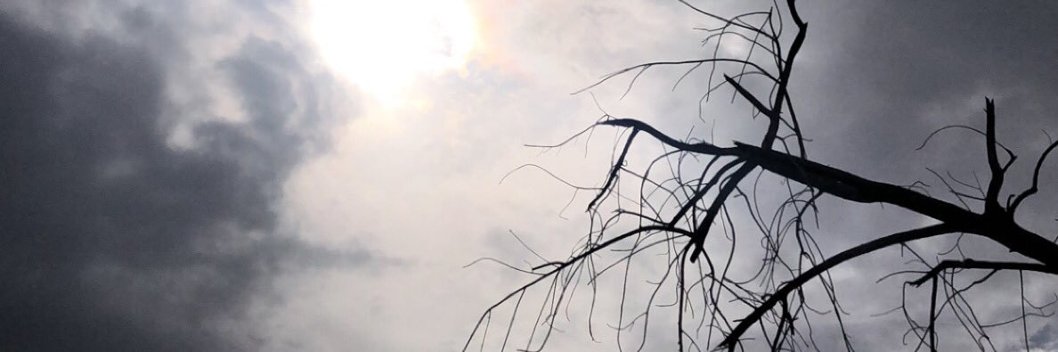 LastSeasons1's profile banner image