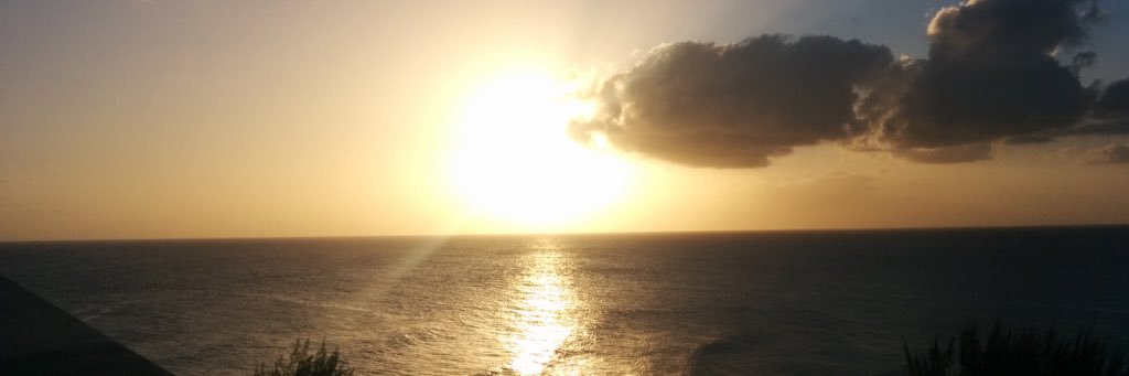 vmertz's profile banner image