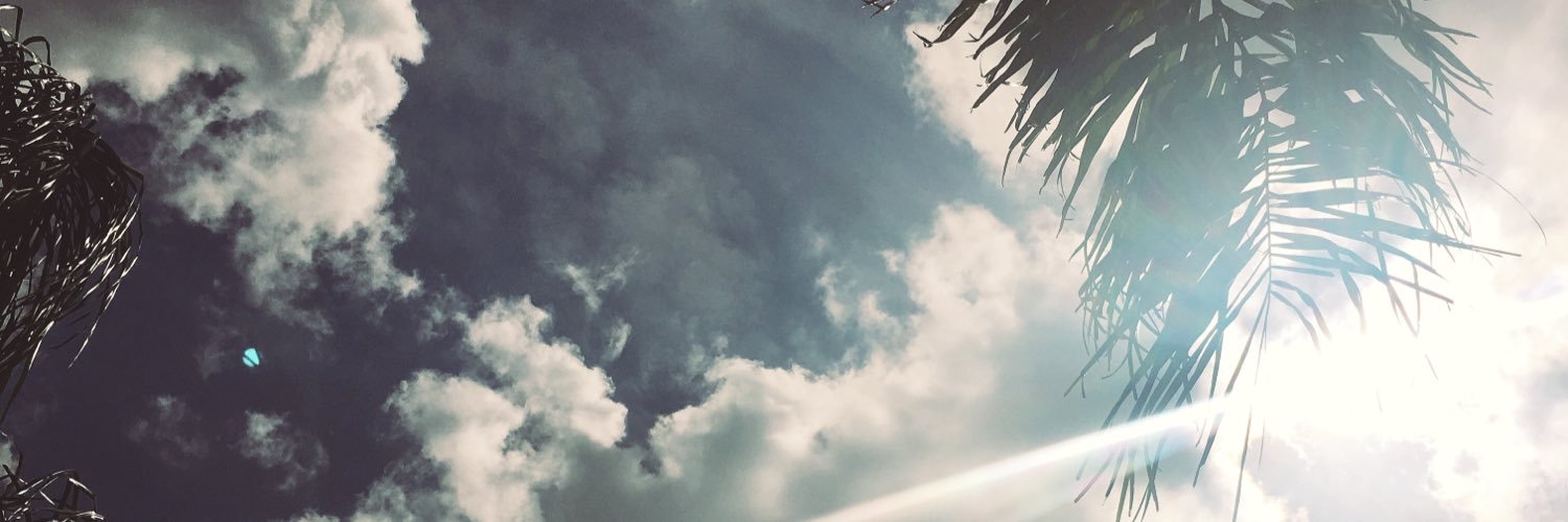 al gore invented the internet banner