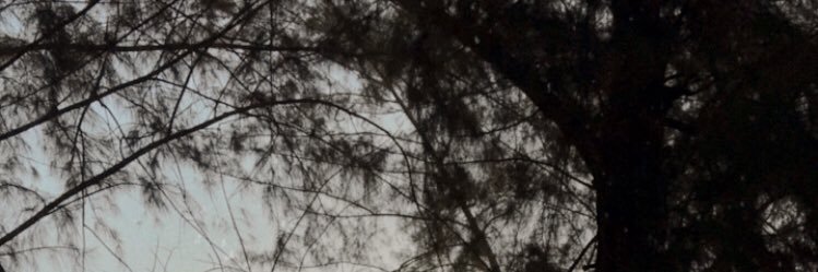TotTjto's profile banner image