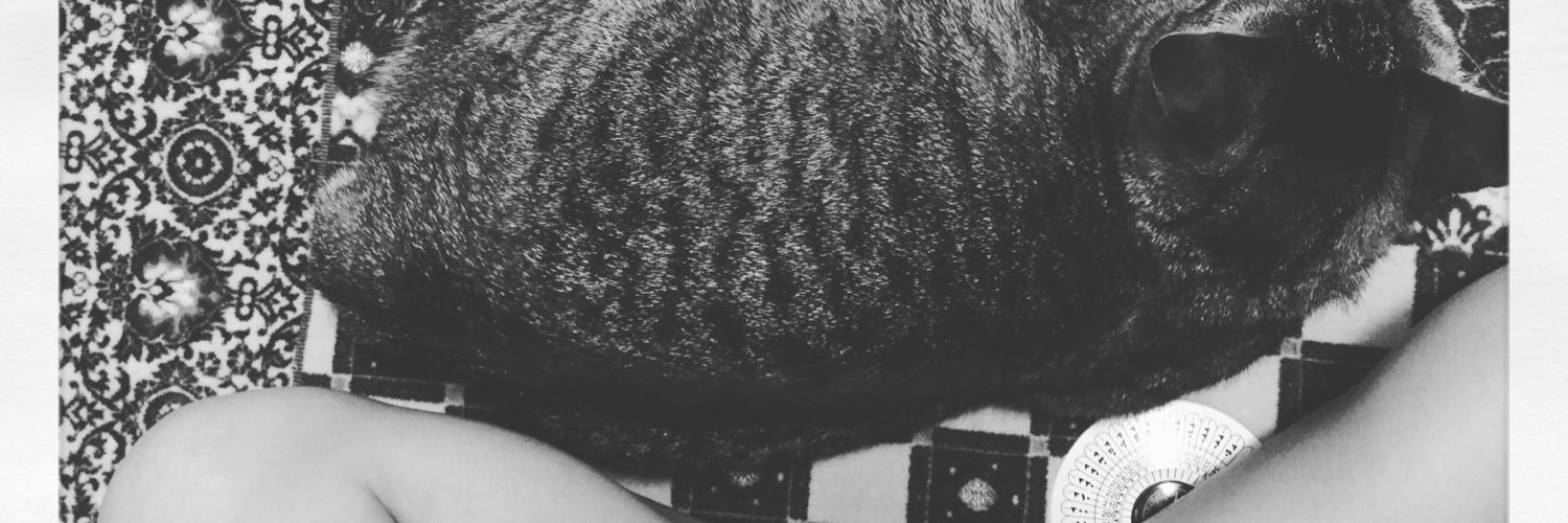l8omoo's profile banner image