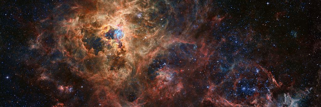 spacecaaaat's profile banner image