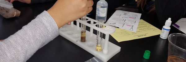 smchambe Profile Banner