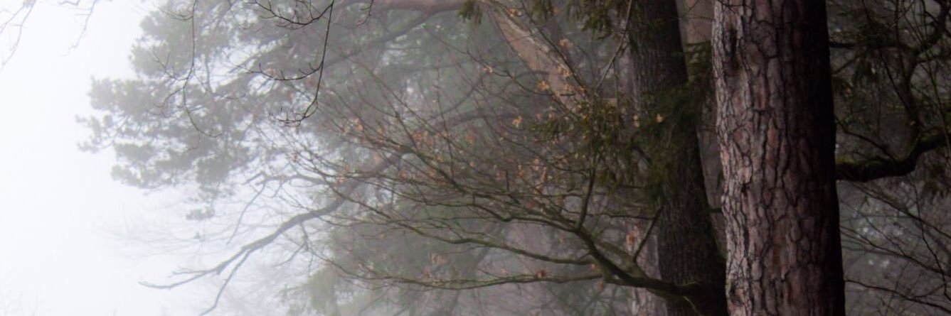 asp33_'s profile banner image