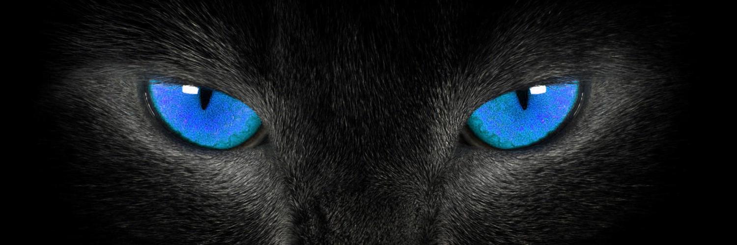 robbiecibro's profile banner image