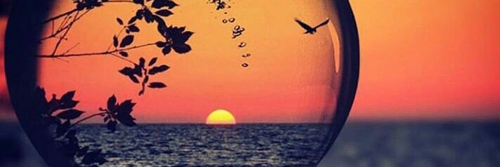 AQAS_4's profile banner image