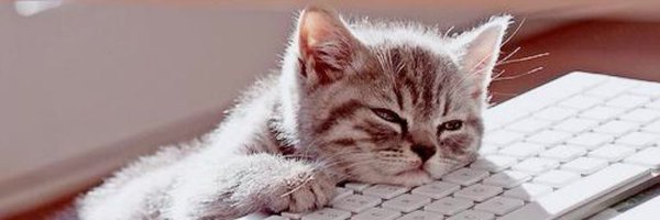 tamsinol Profile Banner