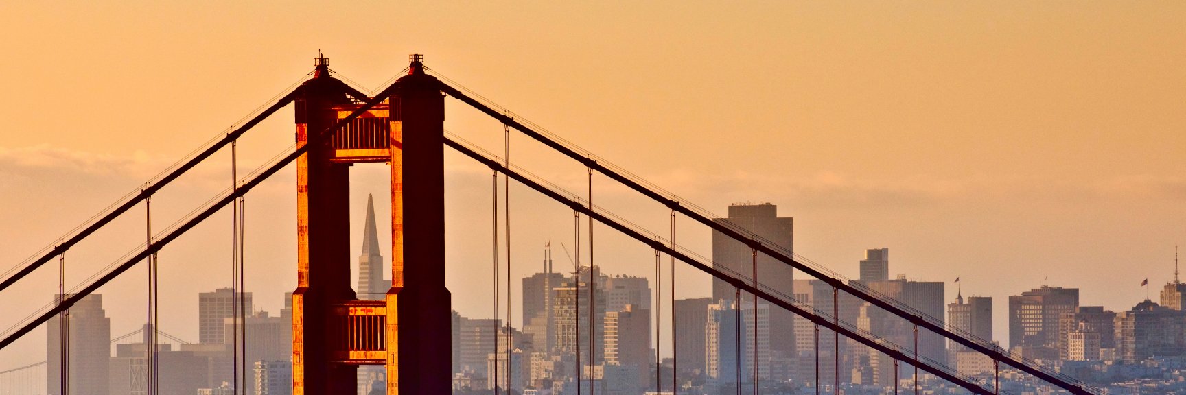 Emily Foley (She/Her) banner