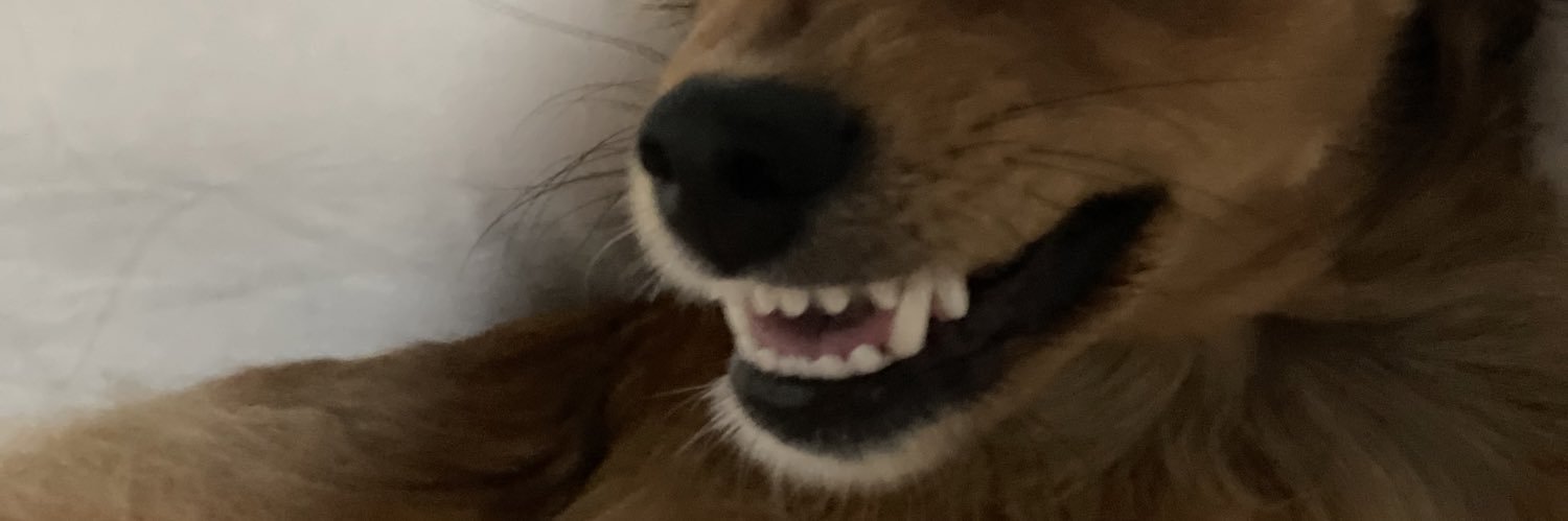 MathAllves's profile banner image