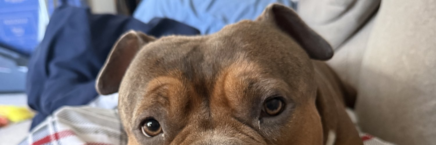CBnks's profile banner image
