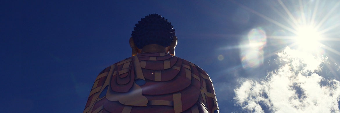 Anushree Sharma banner