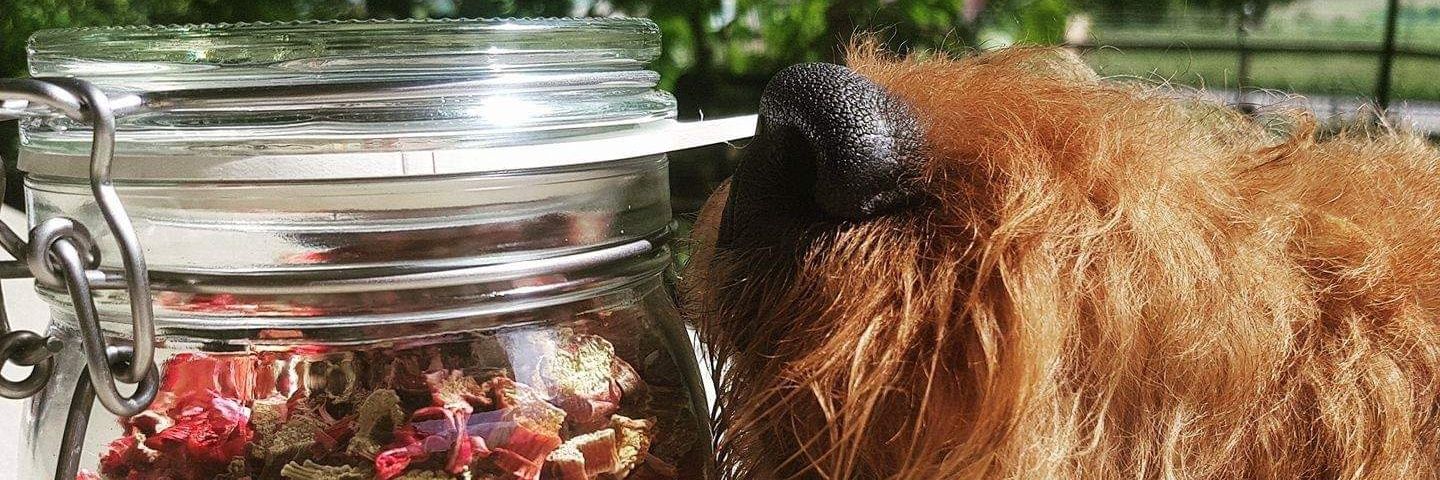 Claire Cunningham banner