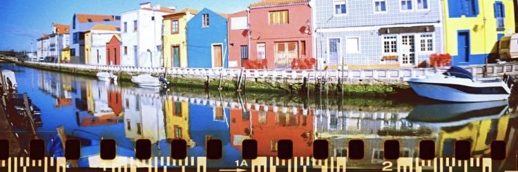 p💮ppy⋆⑅₊⋆⁺⋆✶₊⋆✮˚ banner