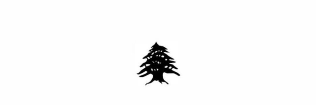 AfafBizri's profile banner image