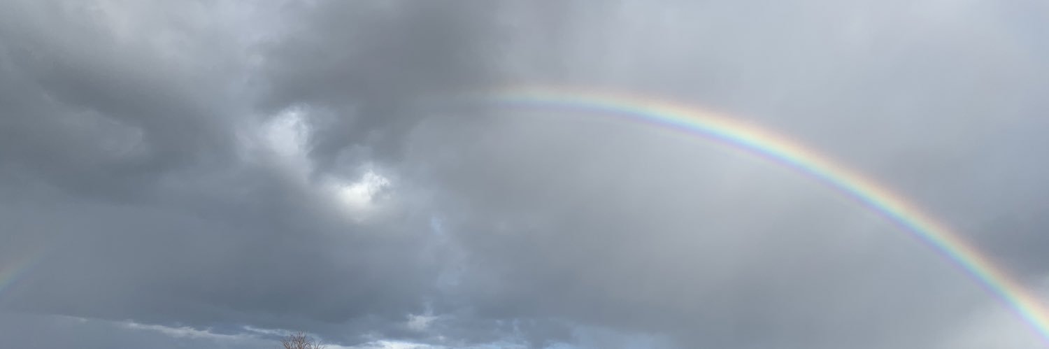 Finunu's profile banner image