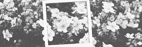 Lexi Graves banner