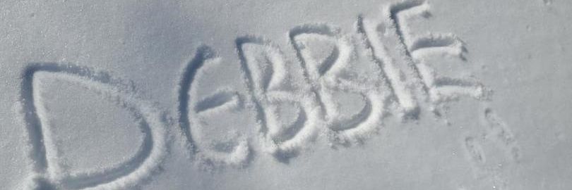 wendohdebby2's profile banner image