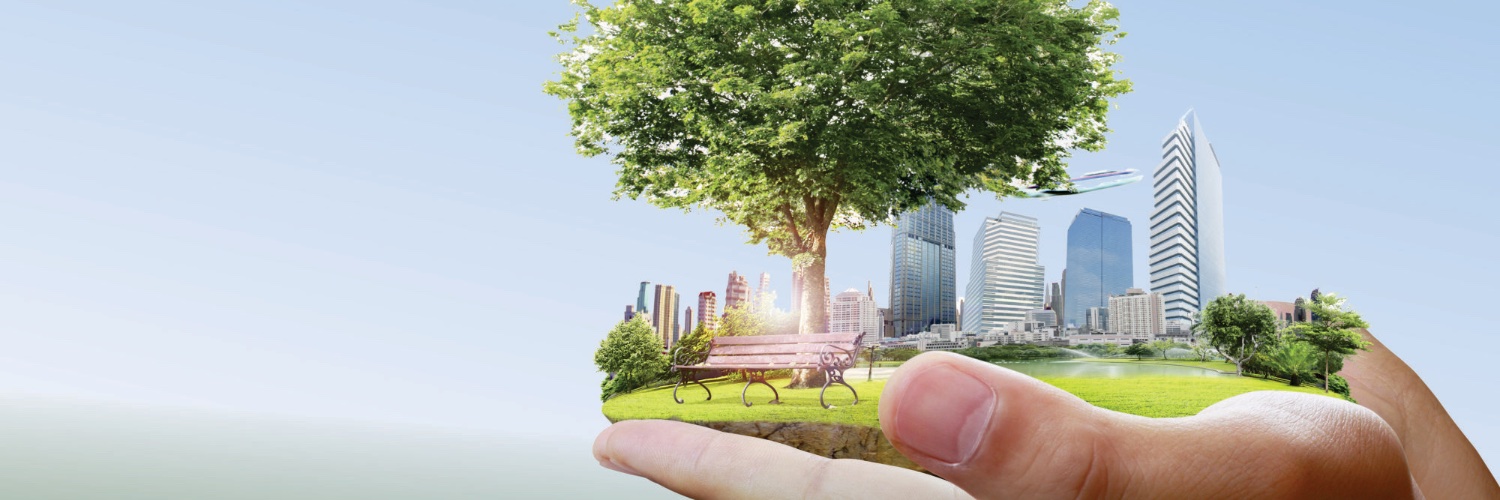 AlexandreHaus's profile banner image