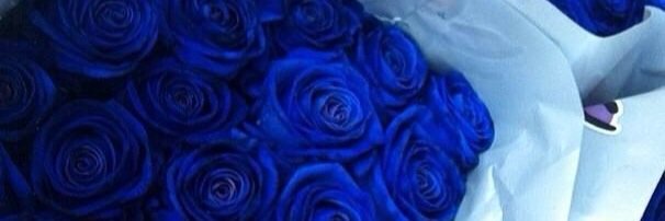 ra_a5r's profile banner image