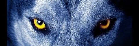 davidfdez8's profile banner image