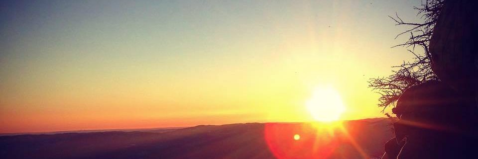 uasuvpsl's profile banner image