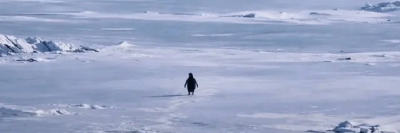 Zoolander’s Alt Acc banner