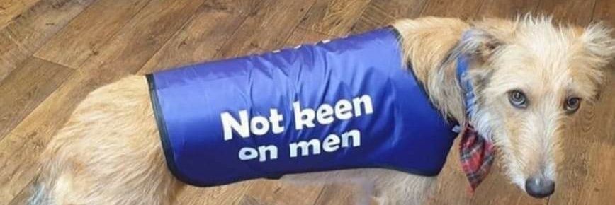 Molly Masters banner