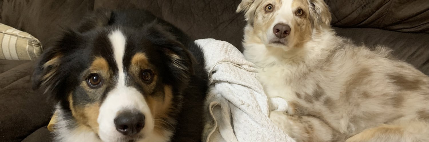 CrabbySusan's profile banner image