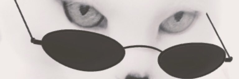 LacristiH's profile banner image